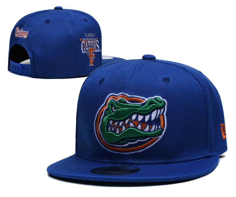 2025 NCAA Florida Gators Hat YS20254111
